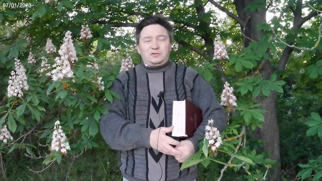 Ну куда смотрит Бог?