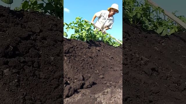 VID_20250617_103238.mp4
