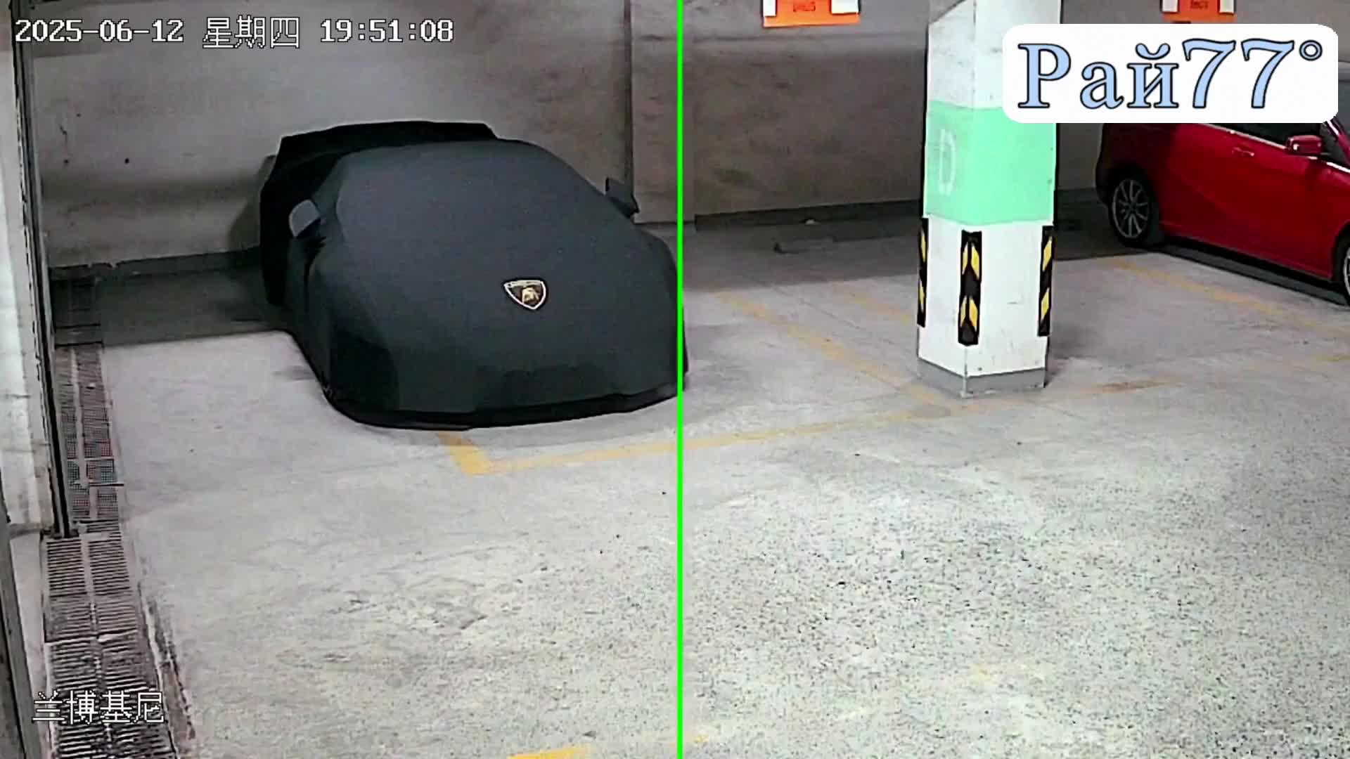 Кошка повредила Lamborghini и была объявлена в розыск