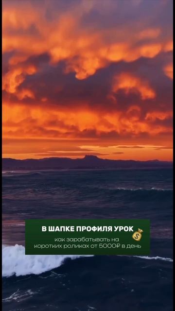 Чтобы жизнь мёдом не казалась