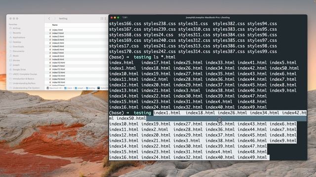 1. Introduction. 5. Introduction to the Command Line