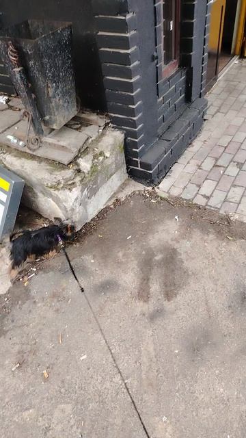 вечерний променад.