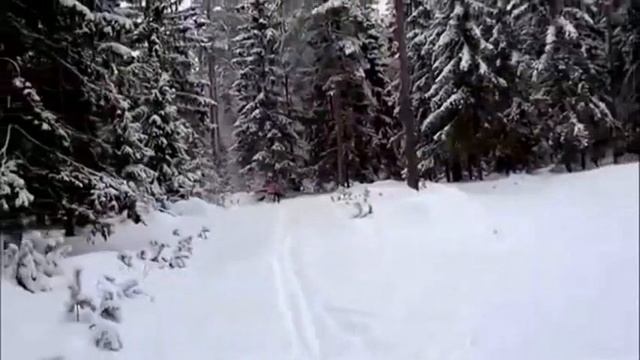 Зимняя дорога или .... дорога без конца