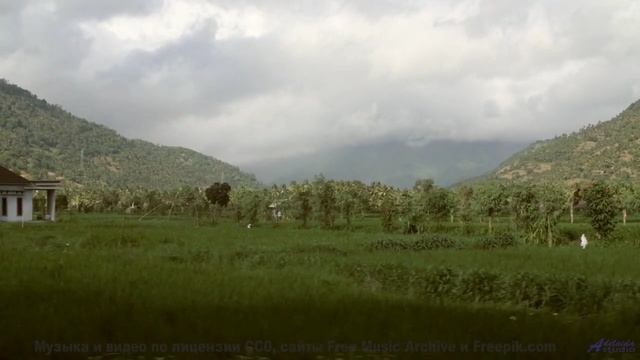 Что на самом деле происходит в этом видео Ответ вас шокирует! - Hilltop -- Crowander -- Uplifting Fu