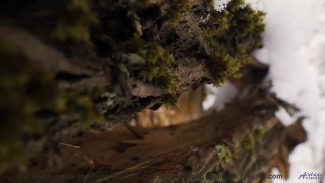 Самые завораживающие виды под хит года - Feel The Burn -- Jeremy Allingham -- Run Wild