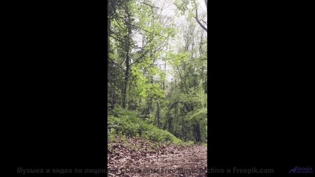 Ритмы поднимают над горизонтом вместе с камерой - Ahead Of The Crowd -- Derek Clegg -- Faces (re-rel