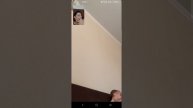 На видео связи с бабушкой Олей
