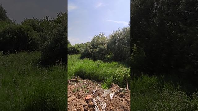 участок в Кулиге