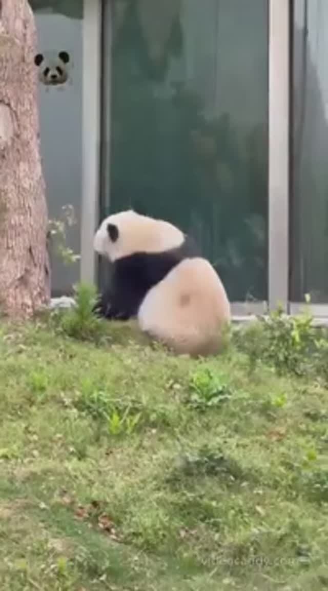 !!! 😅