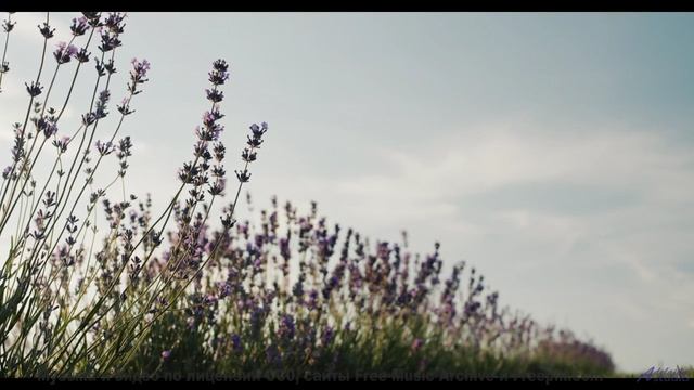 Музыка растворяет границы между зрителем и Землёй - Corporate Advert -- Scott Holmes Music -- Corpor