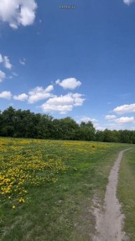 Поле из одуванчиков #земнойирий #коломенское #древниемегалиты #культовыекамни #мистика #местасилы