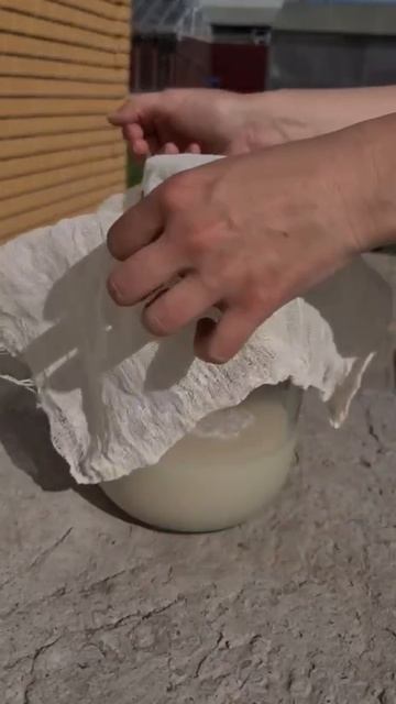 Дрожжевая подкормка растений👍