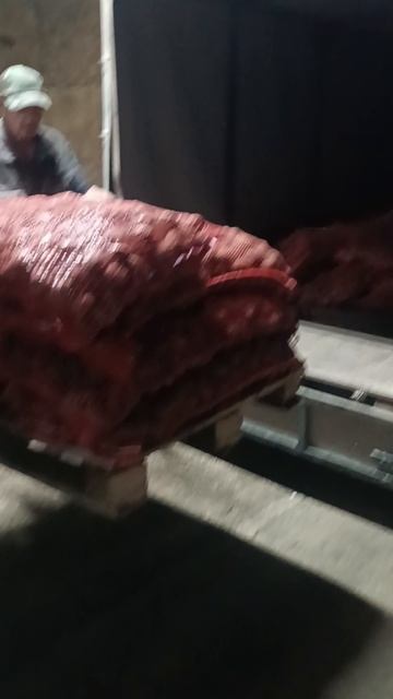 За семенами на ферму!🚜 2т 🥔 на проект ГЕКТАР. Вводим землю!💪#farming #картофель #изгородавдеревн