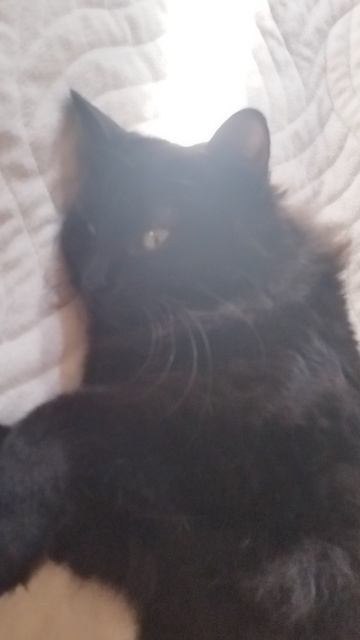 дневной сон