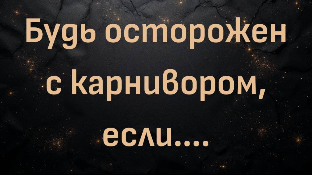 Будь осторожен с карнивором, если....