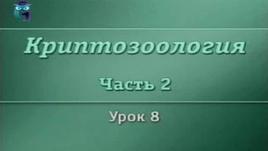 Криптозоология # 2.8. Реликтовые гоминиды. Бигфут