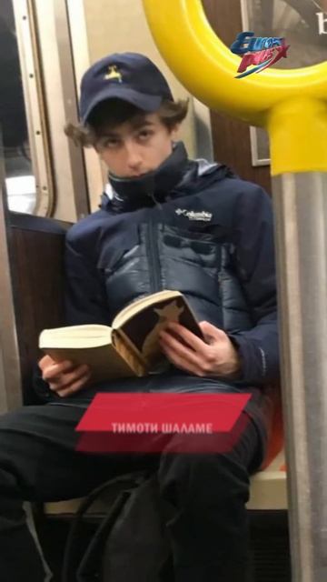 Топовые звезды в метро! Зендея, Хиддлстон, Ривз, Холланд, Шаламе, Джилленхол #shorts