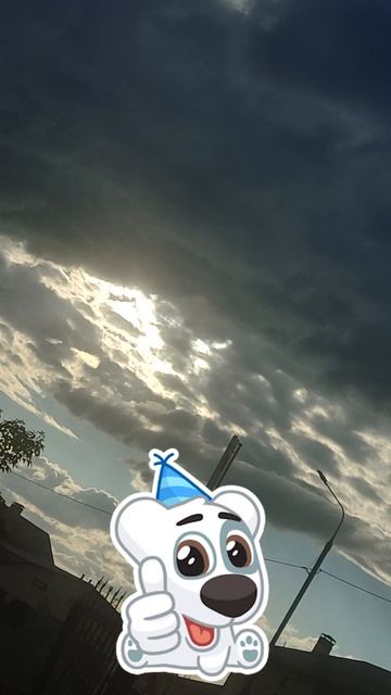 коротк пёс из вк СпоттиVID_20250521_182803VID_20250521_182803