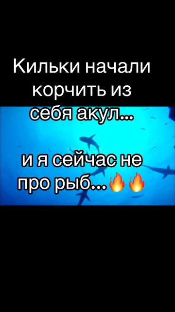 Со смыслом