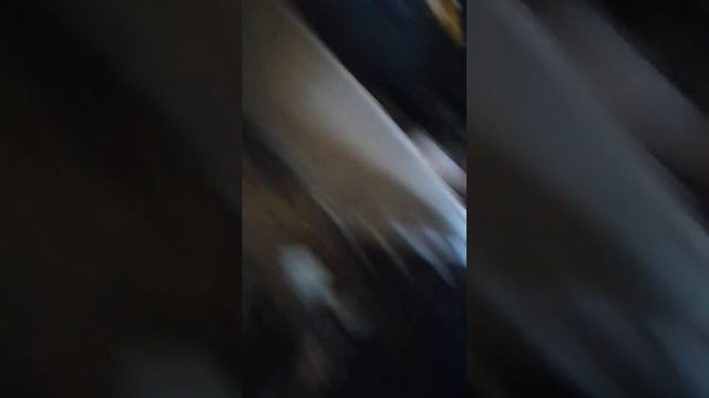 картонный дальнобойщик