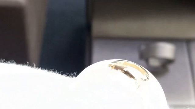 Кольцо женское Damiani D.Icon 20082186