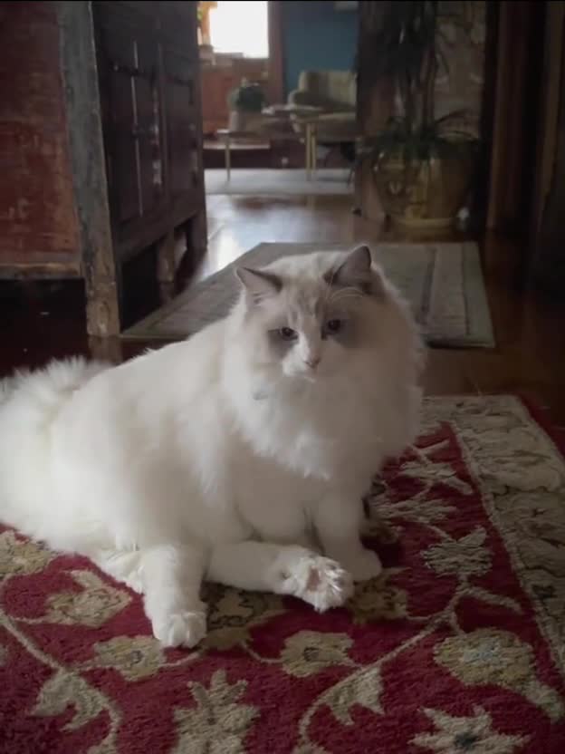 Подпишись 👉 https://vk.com/ykrasheniy_iz_kamny