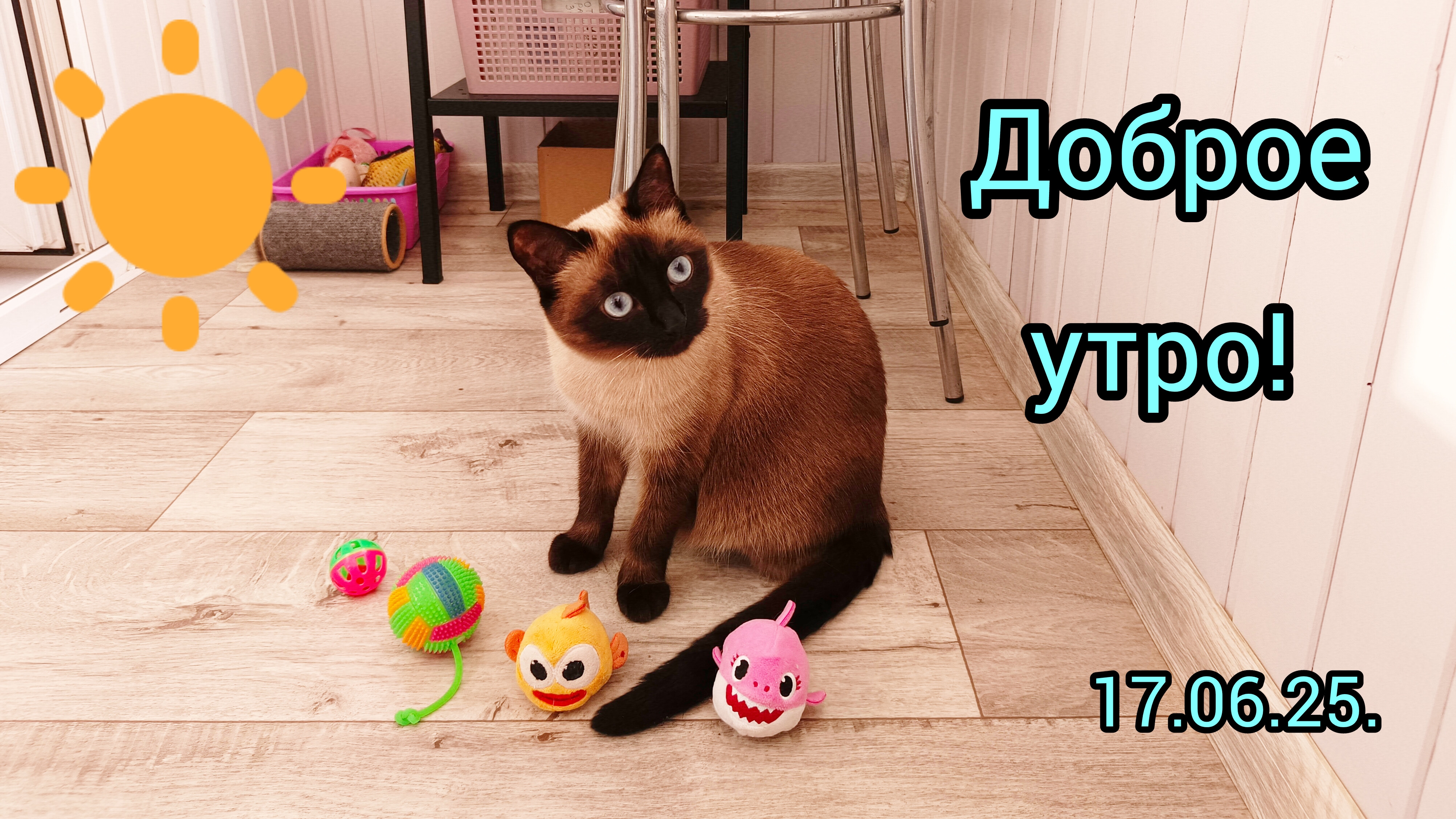 Доброе☀️утро17-06-2025.#поговорим #совет #жизнь инвалида