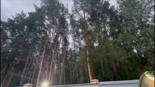 ТОТ ПРЕКРАСНЫЙ МИР...