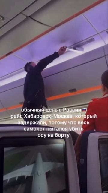 🐝Полёт в Москву из Хабаровска чуть не сорвался из-за осы🐝