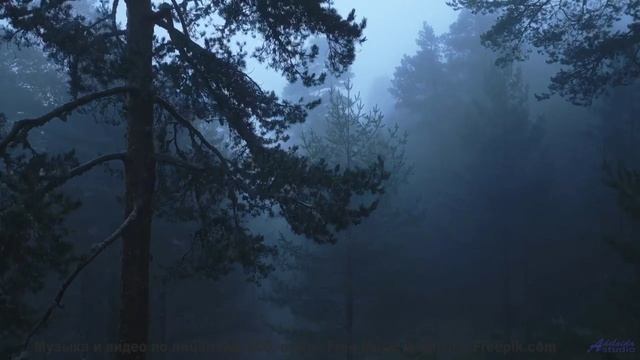 Эти звуки - НЕ ветер и не птицы! - I Hear Echoes -- Ketsa -- Light Rising