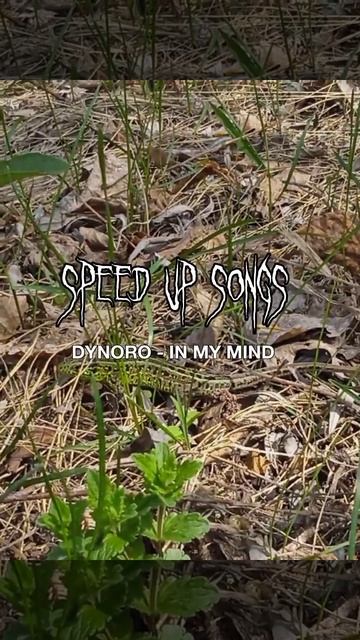 speed up songs DYNORO - in my mind