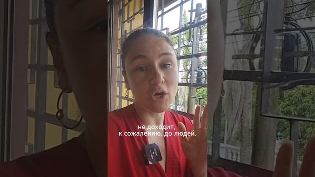 Почему правильно говорить “эль Аяваска” — а не “ла”? Объясняем без трипов