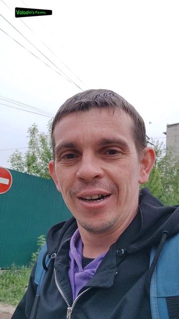 А вот и та самая овчарка