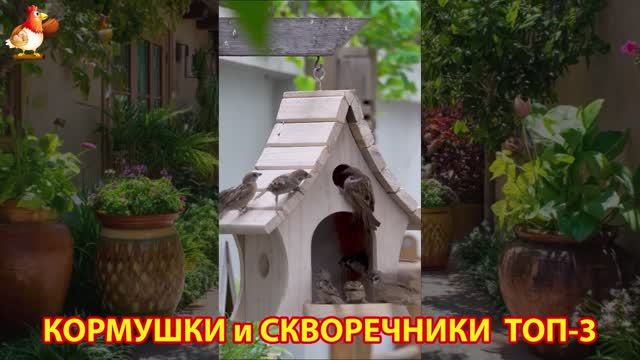 Кормушки и скворечники своими руками для птиц ТОП-3 (71) 🪚🪛🔨 Идеи для дачи и сада пошагово ❣️