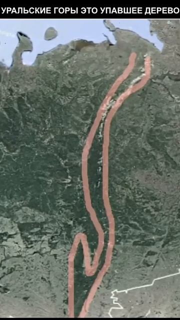 Уральские горы - это упавшее дерево? (тг в описании)