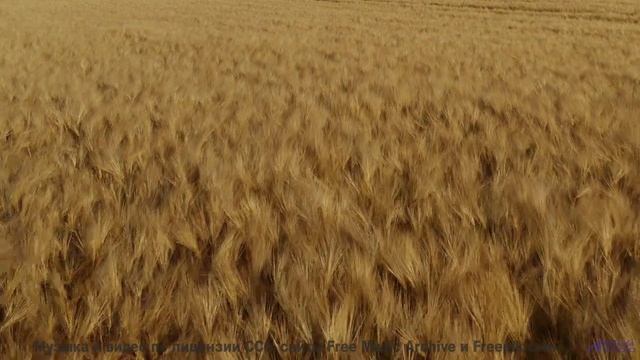 Ты не сможешь остаться равнодушным - это невозможно! - Daydreams -- Crowander -- Uplifting Funband (