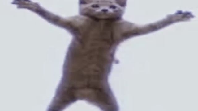 Котики.3gp но ЗАВОКОДЕНО (feat. Бонни Карпов)