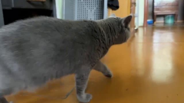 Вот моя новая подружка, но мы с ней когда нибудь подружимся)