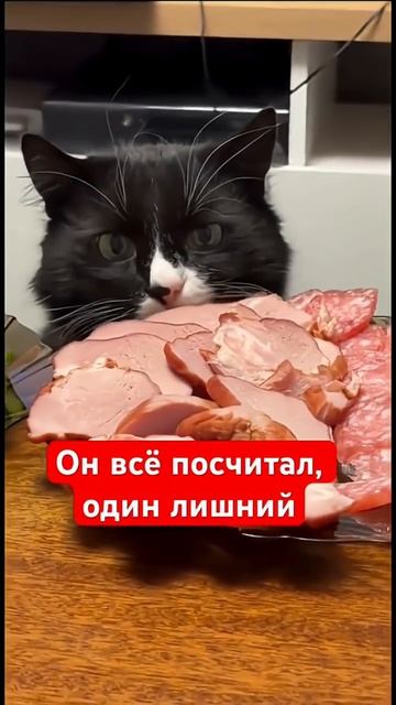 VID_20250617_202821_316.mp4