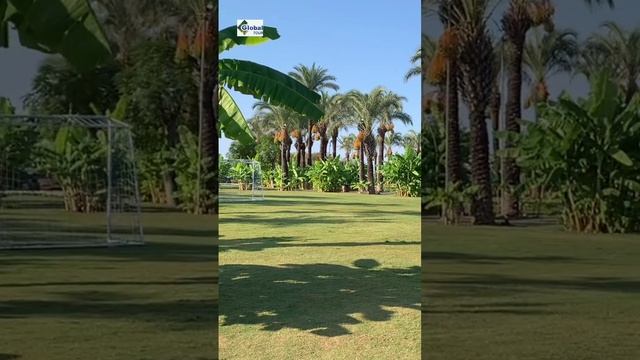 Видеообзор из отеля IC Hotels Green Palace 5*, Турция, Анталья