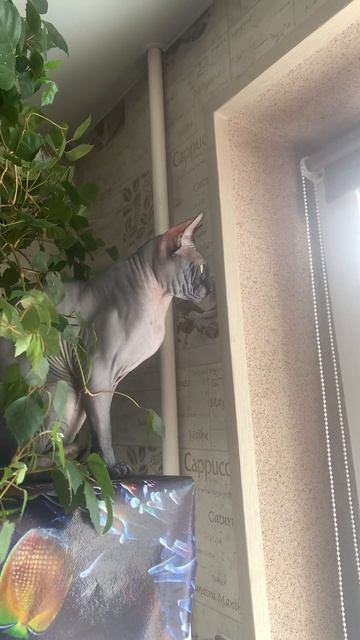 28 июля 2023 г.