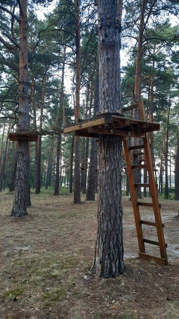 Шале Гринвуд.🌲🌲🌲🌳🌳🌳🦋🦋🦋