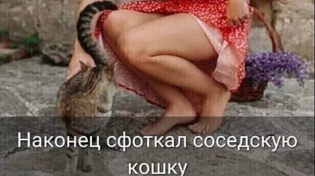 Не мучь красавица меня