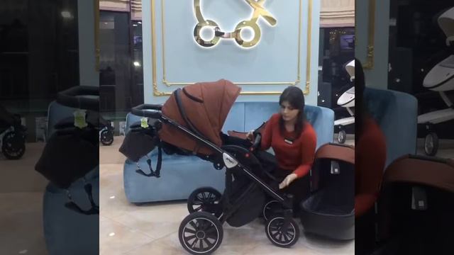 Обзор на коляску Anex Sport 2 в 1