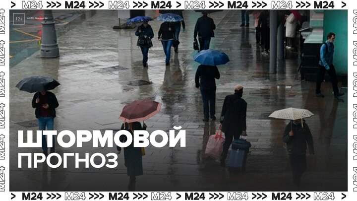 Синоптики спрогнозировали 18 градусов тепла в Москве 18 июня - Москва 24