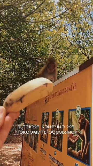 ⚡️подобрать тур в телеграмм: https://t.me/wow_anextour2424