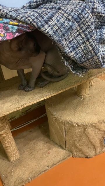 12 декабря 2023 г.