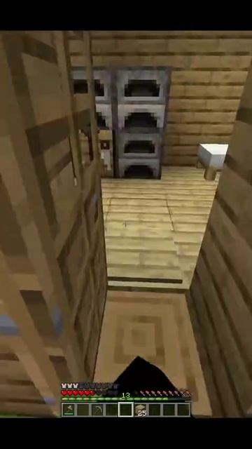 1000024113.mp4