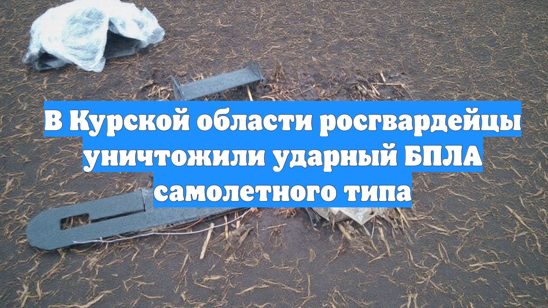 В Курской области росгвардейцы уничтожили ударный БПЛА самолетного типа