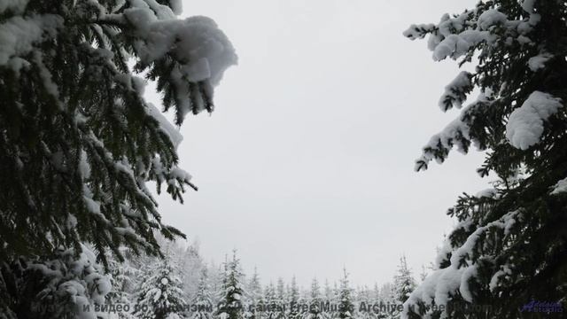 Леса становятся ближе с каждым новым аккордом - Я боюсь утечки глаза (Людмила Гурченко cover) -- Але